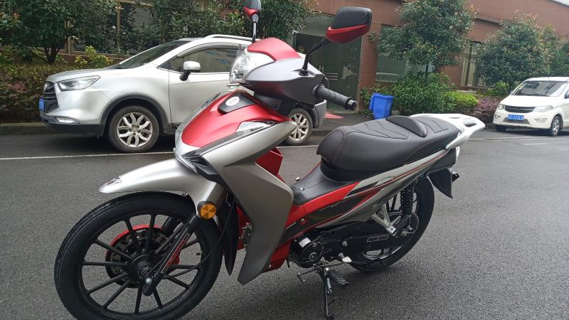 110cc Cub Motorcycle Street Bike (HD110-6D)