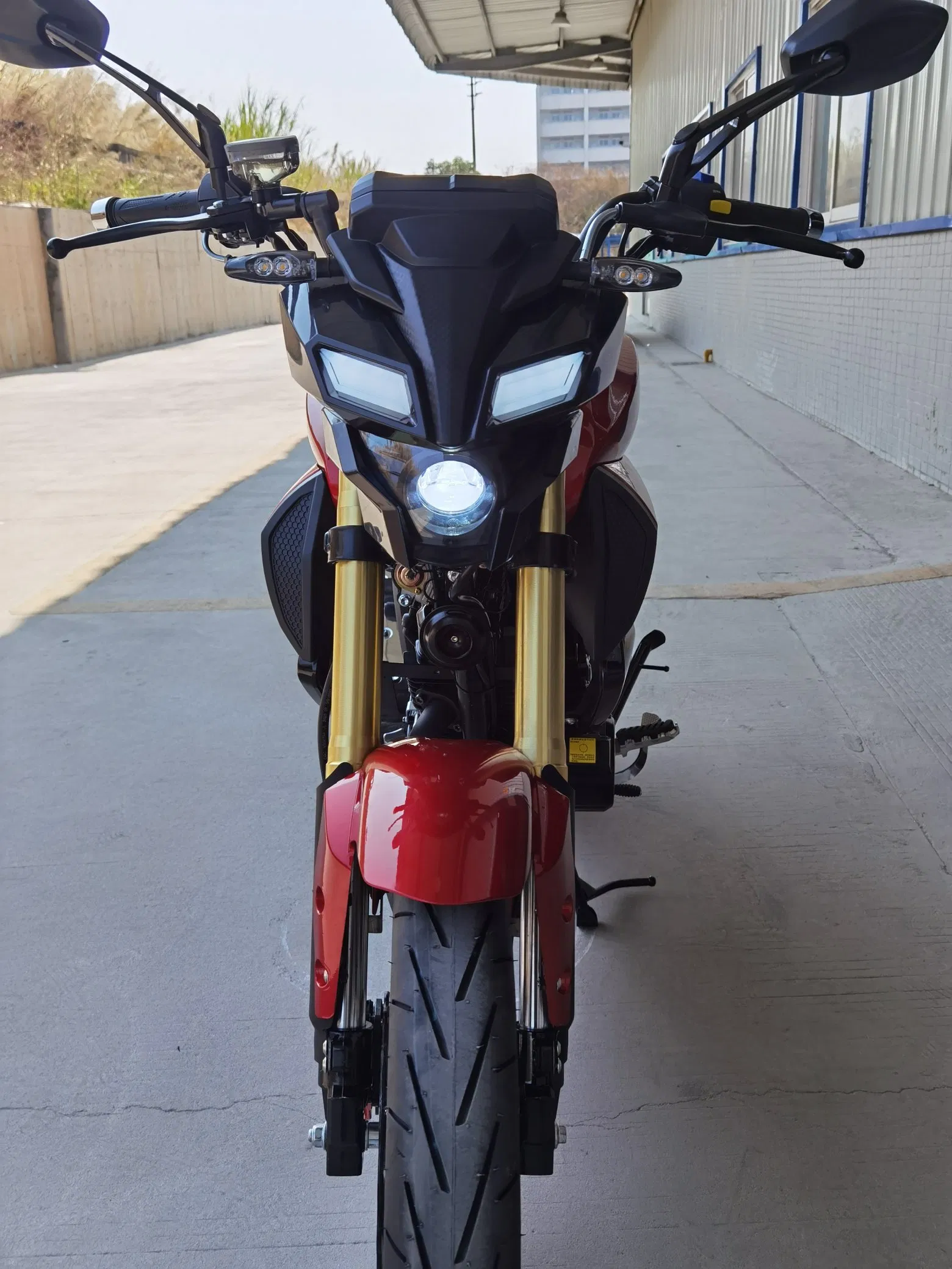 125cc /150cc/200cc/250cc New Design Gas Motorcycle with LED Light From YAMAHA (MT)