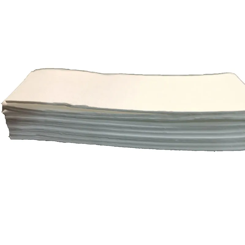 12n5l-BS UPS PE AGM Separator Insulation Film Manufacturers