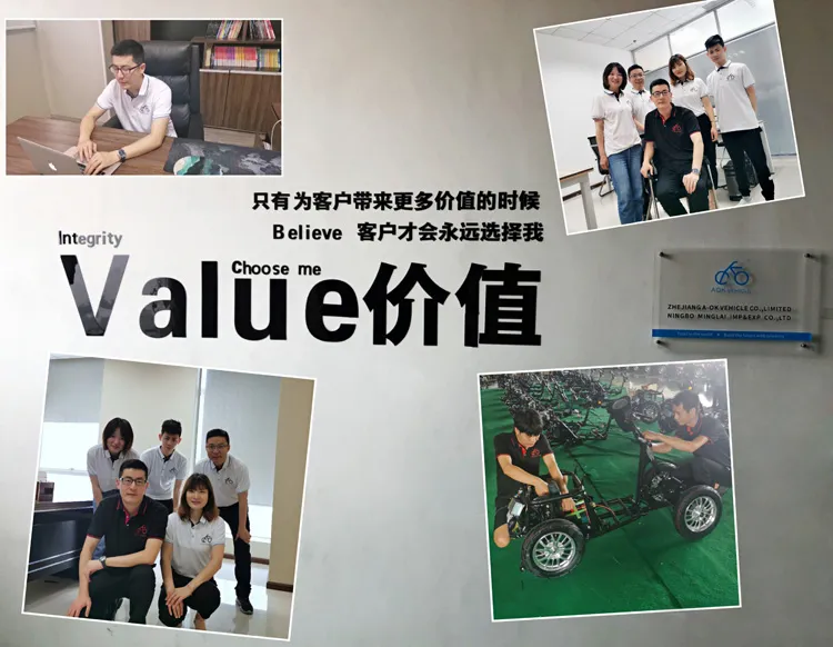 1500W Racing Electric Motorcycle (EM-002)