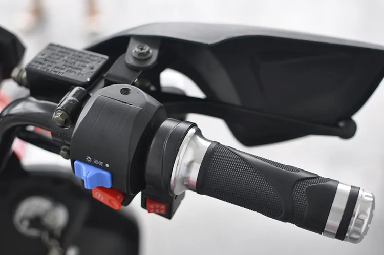 1500W Racing Electric Motorcycle with Disk Brake (EM-001)