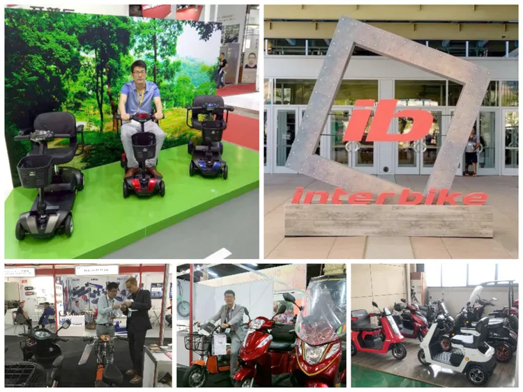 1500W Racing Electric Motorcycle with Disk Brake (EM-001)