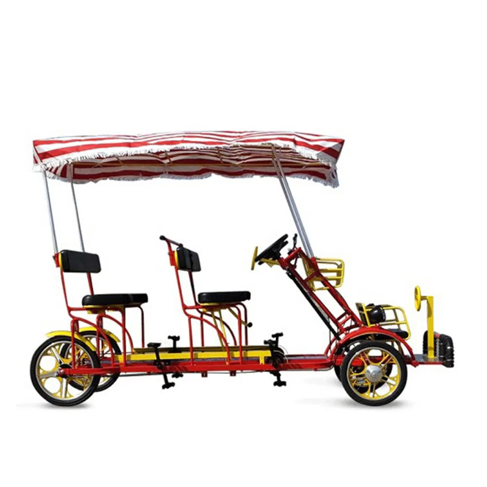 2 Person 4 Wheel Recumbent Surrey Side by Side Tandem Bicycle