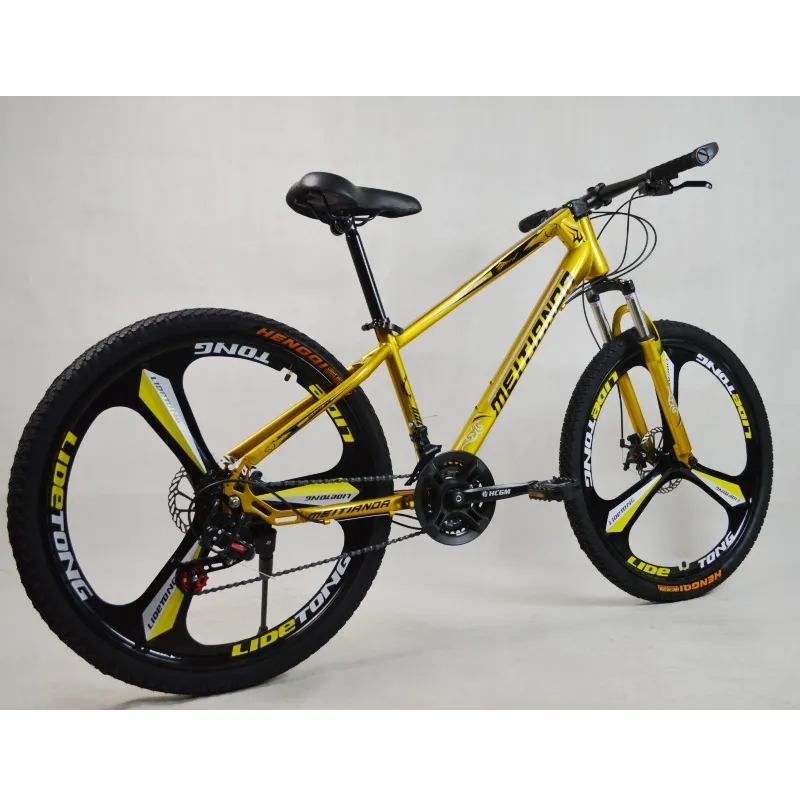 20/24/26 "21 Speed /24 Double Disc Brake Mountain Bike