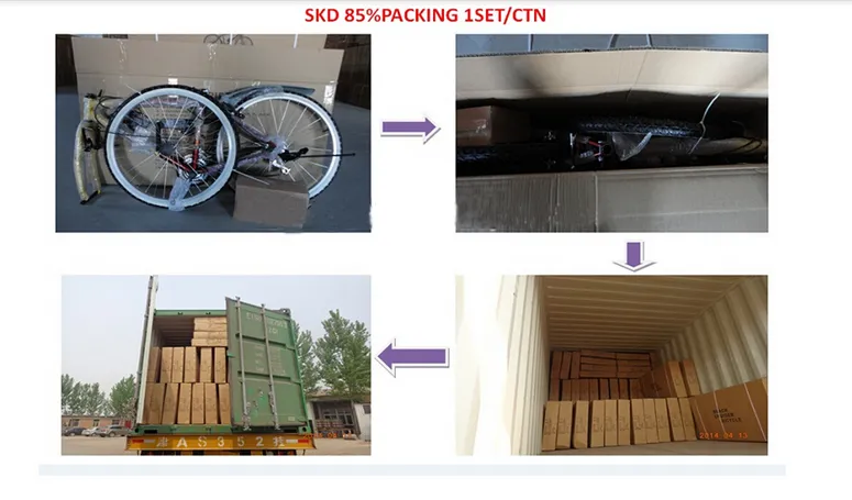 20" Folding Mountain Bike with 6 Speeds (AOKFB005)