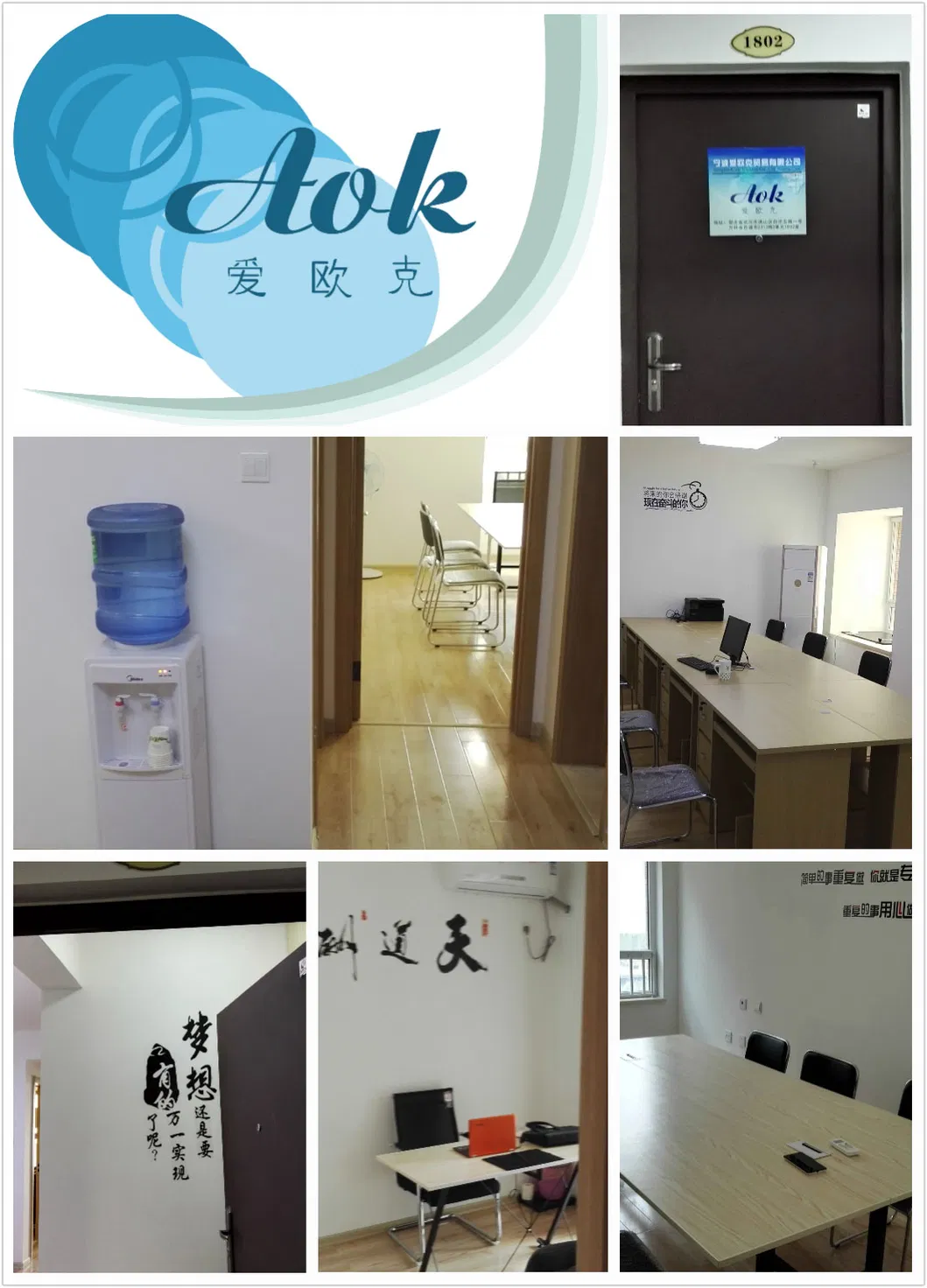 20" Folding Mountain Bike with 6 Speeds (AOKFB005)