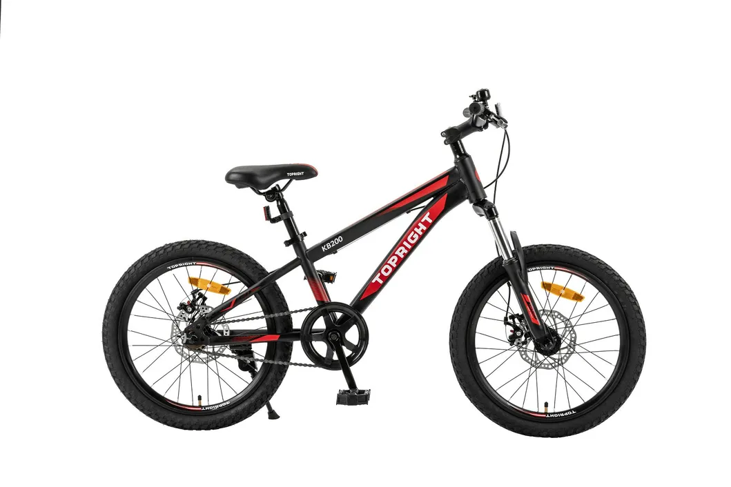 20′ ′ New Fashion Design Black Color Girl′ S Boy′s Mountain Bike Teeneger Bicycle
