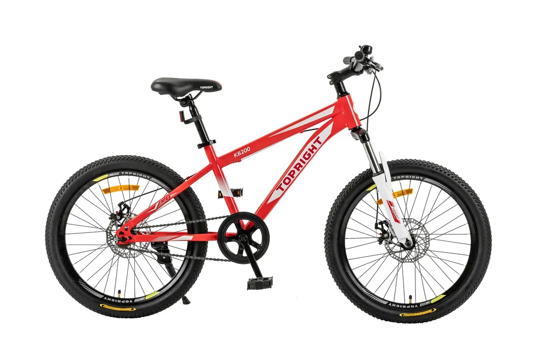 20′ ′ New Fashion Design Pink Color Girl′ S Mountain Bike Teeneger Bicycle