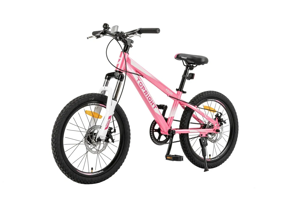 20′ ′ New Fashion Design Pink Color Girl′ S Mountain Bike Teeneger Bicycle