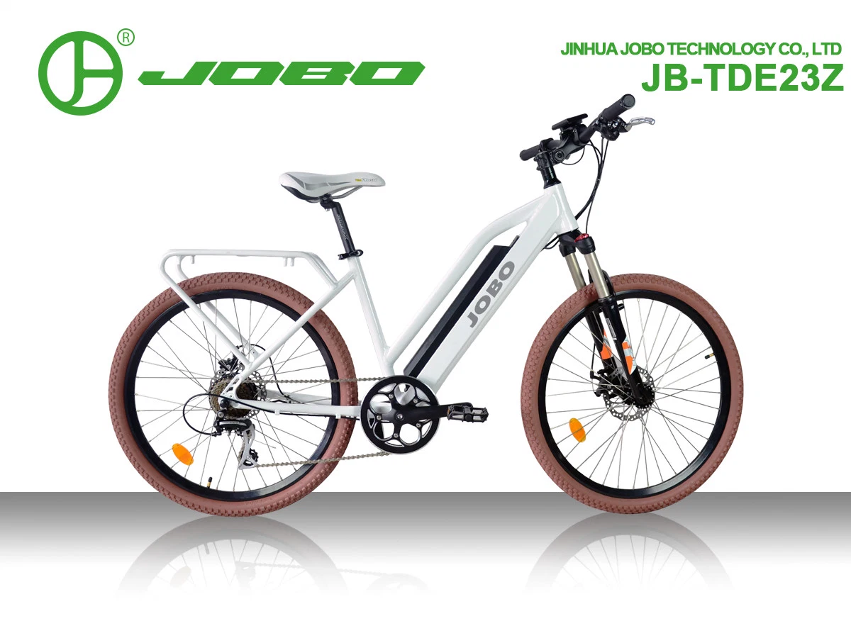 2021 New Holland Bike for Lady on Sale with Hidden Battery Jb- Tde23z