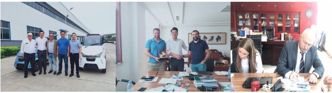 2020 Brand New EEC L2e Electric Tricycle for Hot Sale