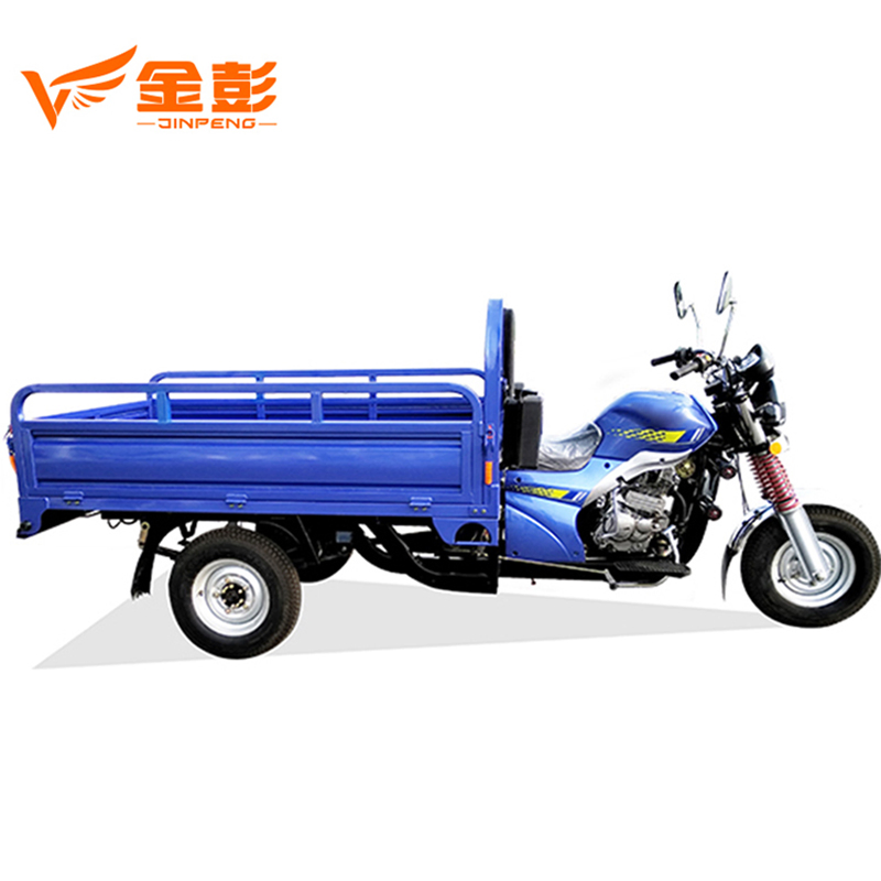 2021 Big Wheel Powerful Petrol Tricycle for Cargo