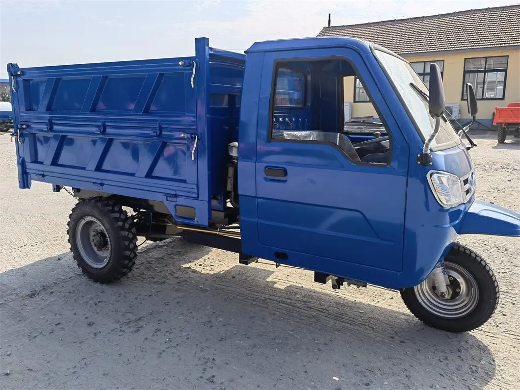 2021 Export to Peru, Ecuador, Africa 3 Wheels Dumper, Stronger Mini Dump Truck with Double Shock Absorption