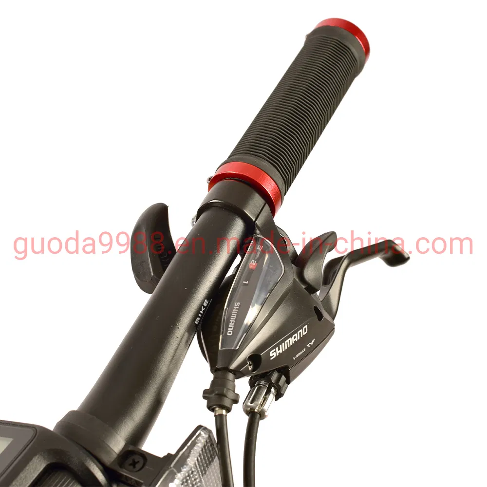 24 Inch 21 Speed Bike MTB Good Price Mountain Bicycle