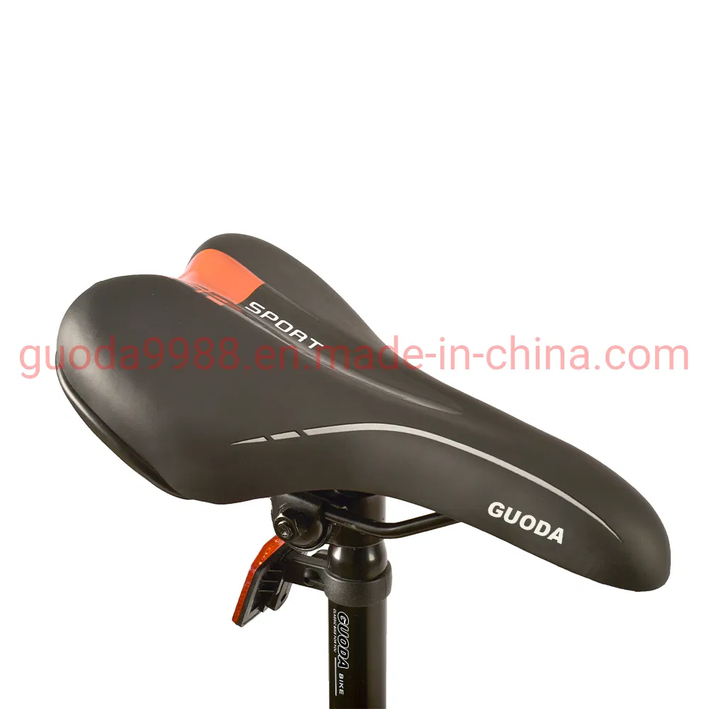 24 Inch 21 Speed Bike MTB Good Price Mountain Bicycle