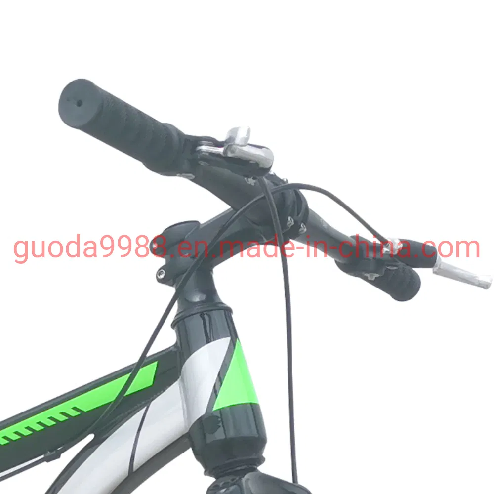 24 Inches Steel Frame OEM MTB Mountain Bike