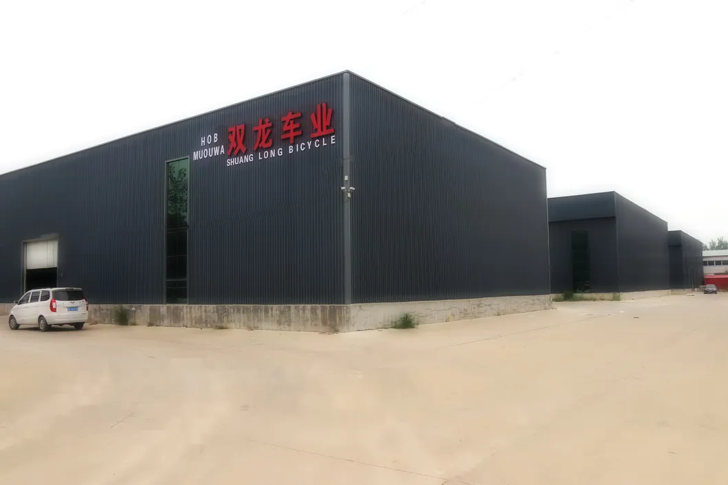 24s Aluminum Alloy Frame Mountain Bike with Kmc Shimano Shifte (012H)