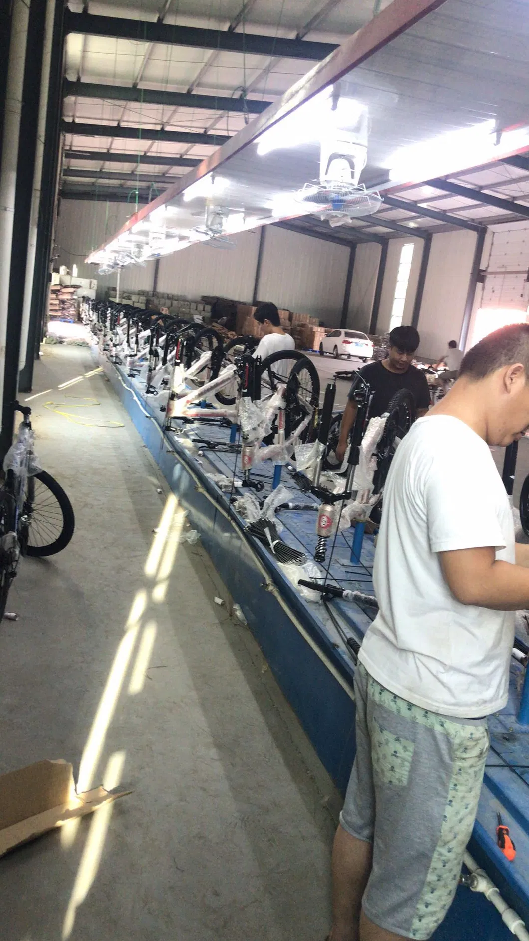 24s Aluminum Alloy Frame Mountain Bike with Kmc Shimano Shifte (012H)