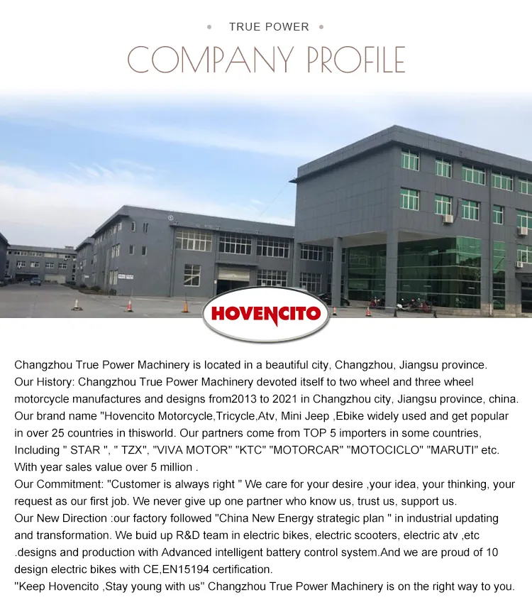 250cc Gasoline Cabin Tricycle with Enclosed PU Box for Food