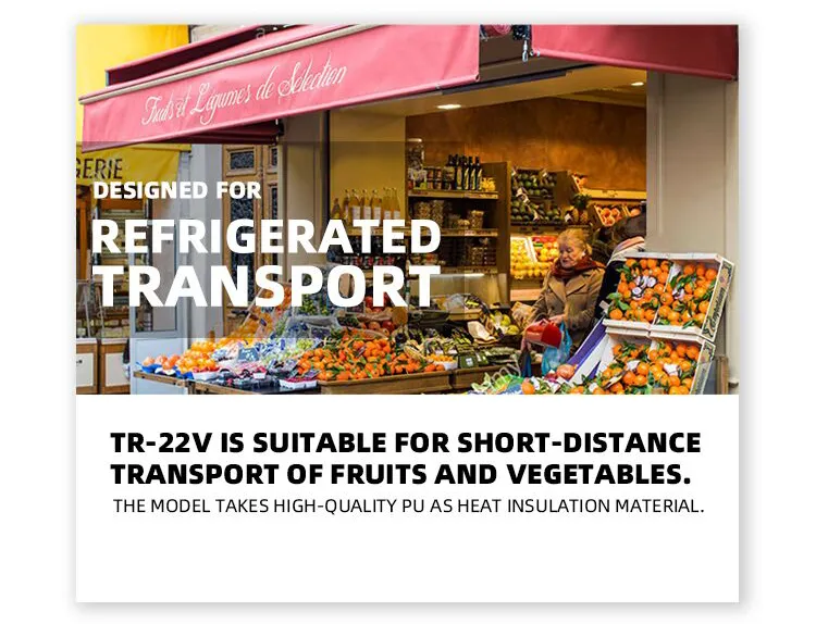 250cc Gasoline Refrigerated Tricycle for Food Delivery