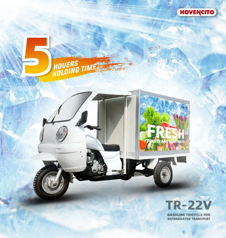 250cc Motorized Tricycle for Cargo with Insulation Enclosed PU Box