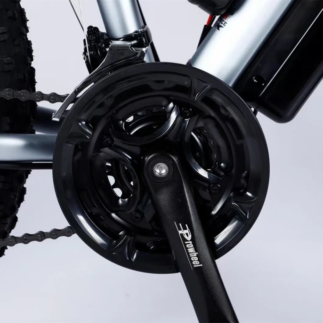 26*4.0 750W 1000W Big Power Fat Tire Electric Mountain E Bike/Snow Bike/Electric Bicycle with CE