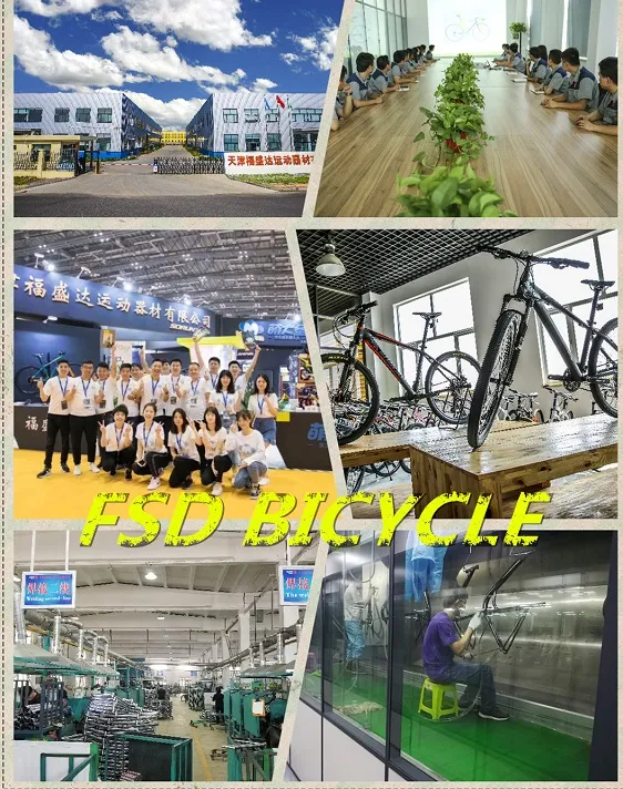 26" Steel Frame Full Suspension 21speed Mountain Bike