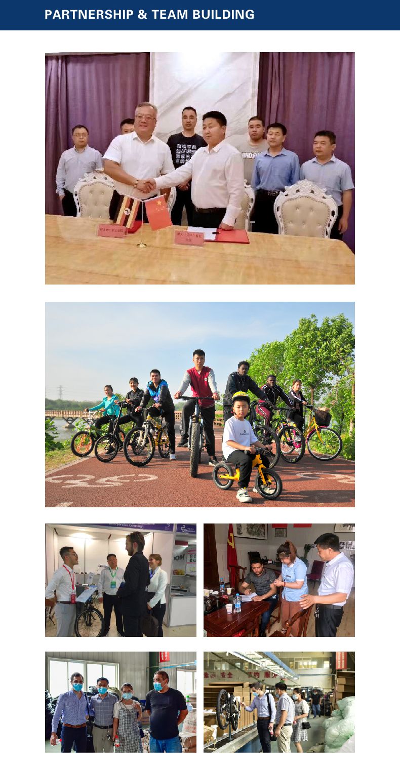 27.5 Inch Nice Quality Mountain Bike Can Customized 26/29