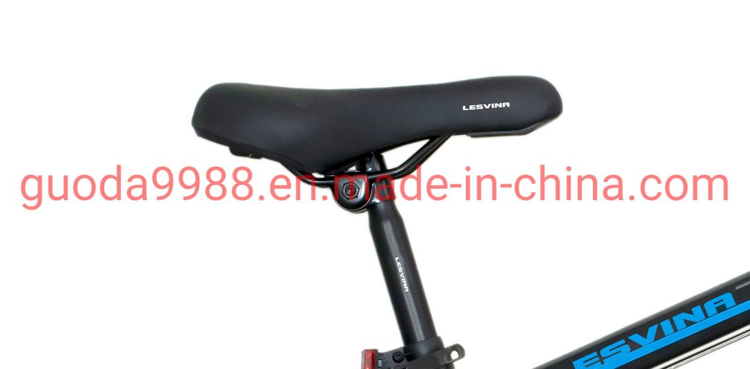 27.5 Inch Nice Quality Mountain Bike Can Customized 26/29