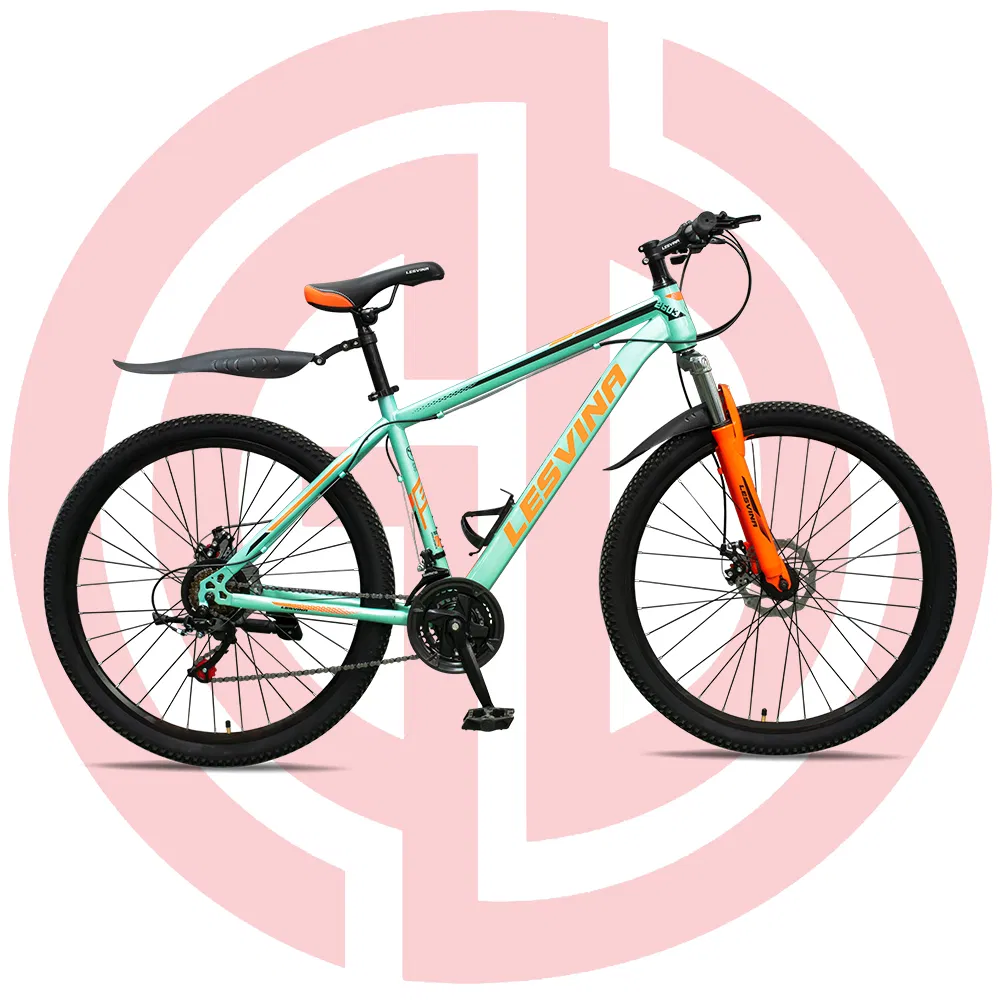 29-Inch Steel Mountain Bicycle China Wholesale Disc Brake MTB 24s