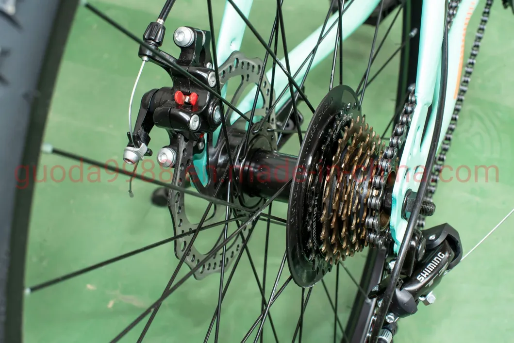 29-Inch Steel Mountain Bicycle China Wholesale Disc Brake MTB 24s