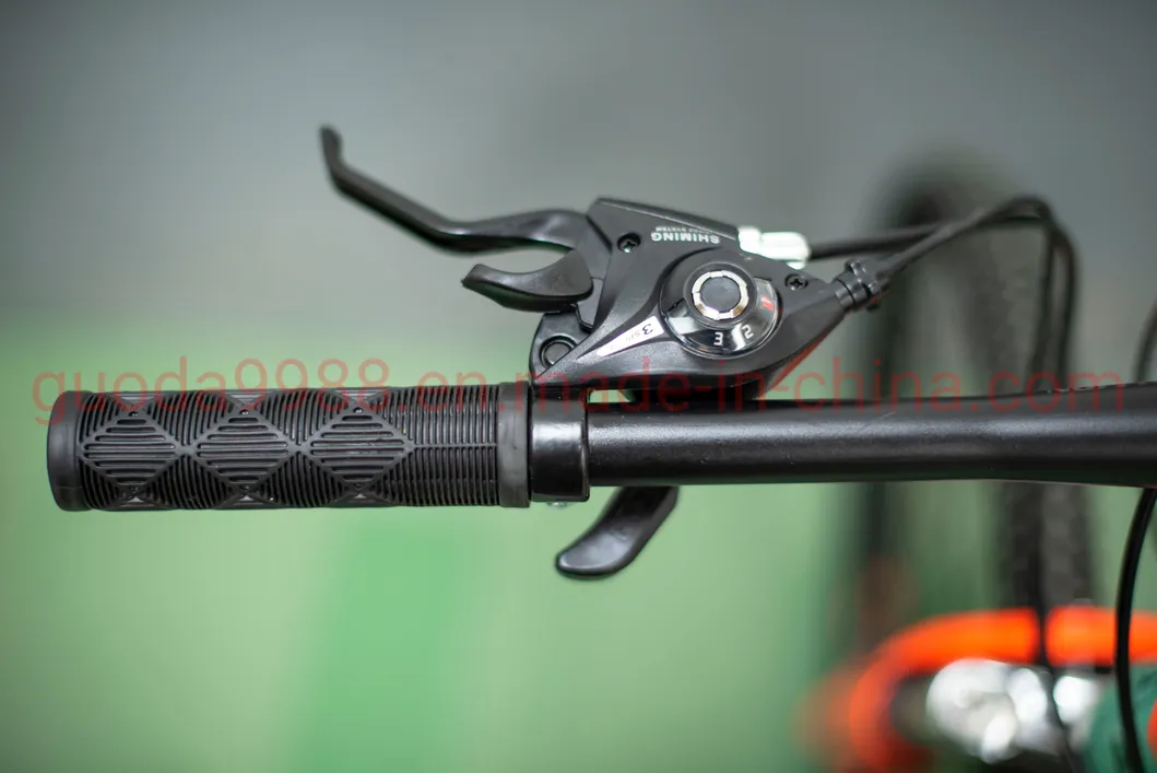 29-Inch Steel Mountain Bicycle China Wholesale Disc Brake MTB 24s