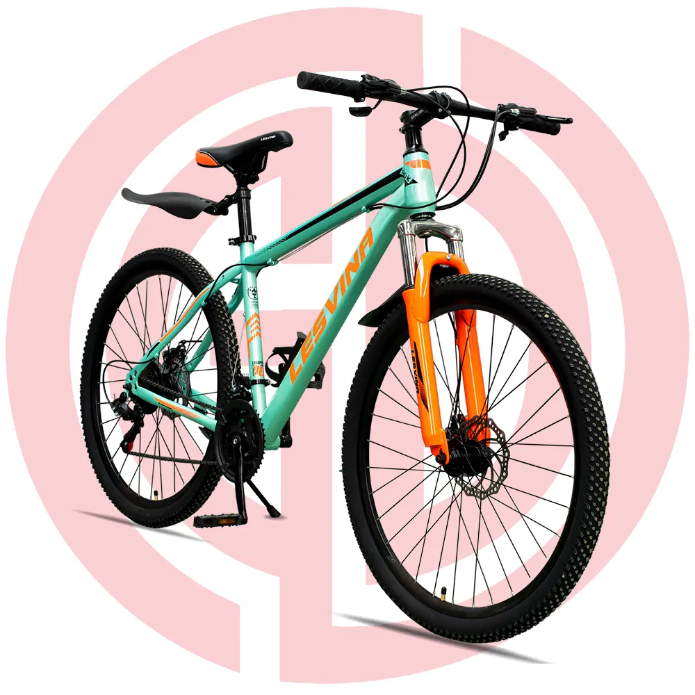 29-Inch Steel Mountain Bicycle China Wholesale Disc Brake MTB 24s