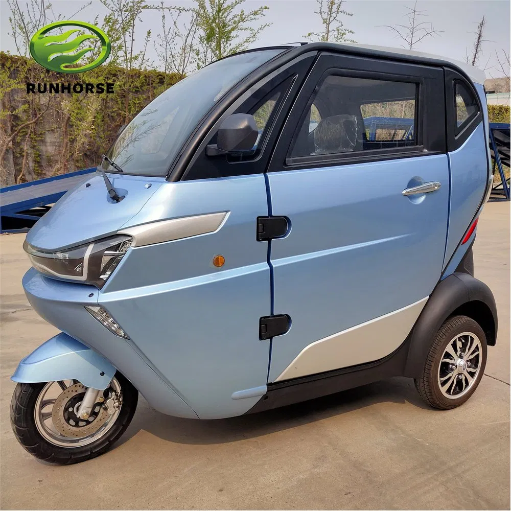 3 Wheel Electric Car with EEC Certificate for European Markt
