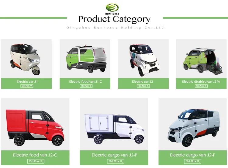 3 Wheel Electric Car with EEC Certificate for European Markt