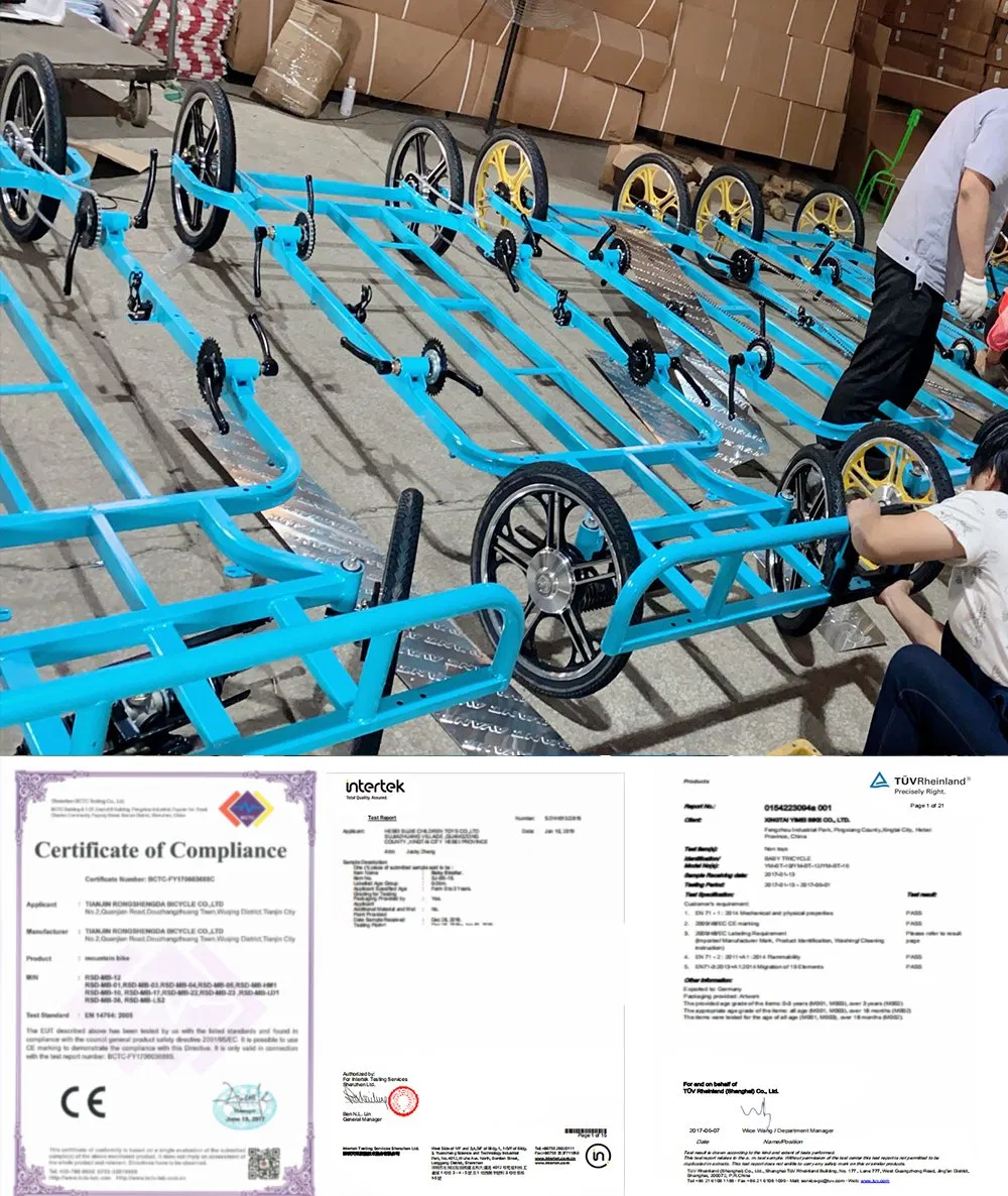 4 Person Bicycle Surrey Pedal Bike for Sale