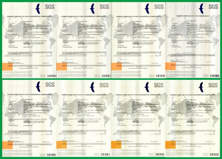 70/110cc Handicapped Tricycle for Adults (DTR-6)