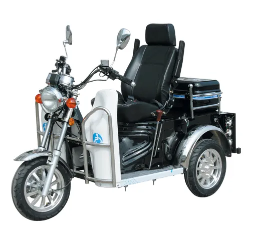 70/110cc Handicapped Tricycle for Adults (DTR-6)