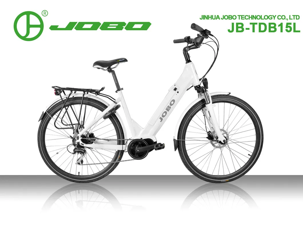 8fun Middle Motor 36V 250W 700c Electric City Bike with LCD Display