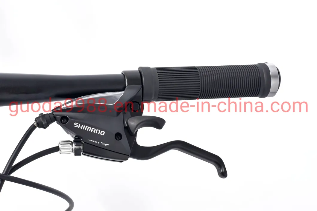 Al Alloy Frame Road Bicycle Rdb Disc Brake for Adult