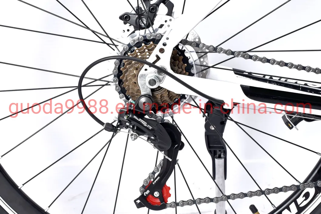 Al Alloy Frame Road Bicycle Rdb Disc Brake for Adult