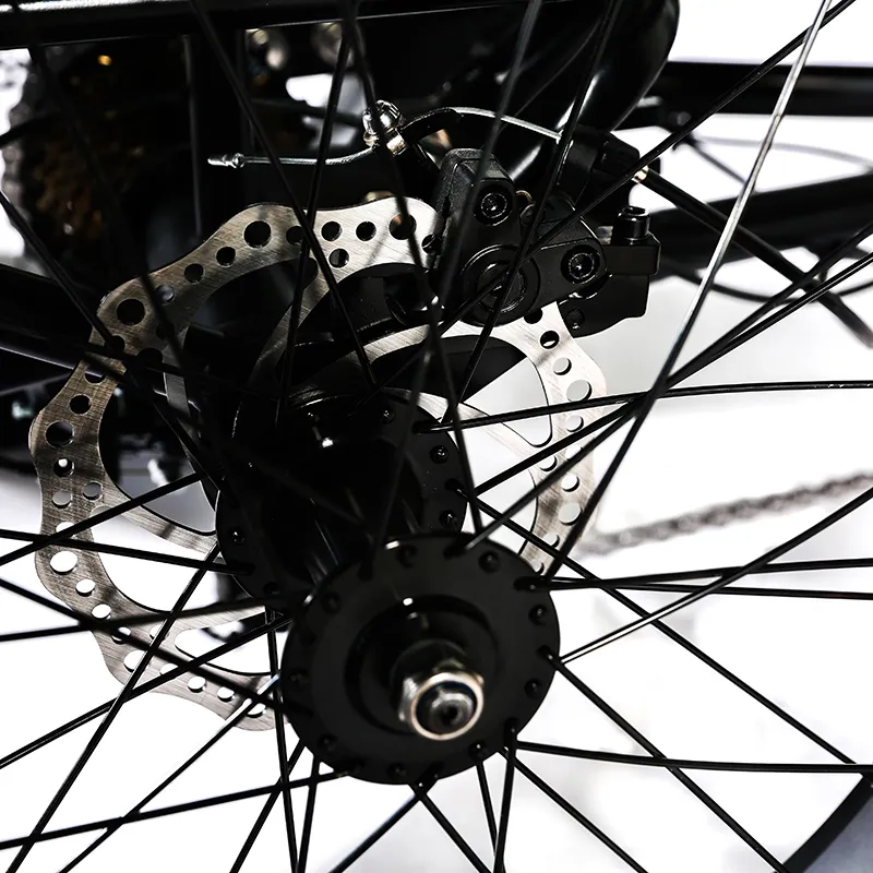 Aluminum Alloy 3 Wheel Fat Tire 48V 500W 750W Front Wheel Hub Motor Electric Tricycle