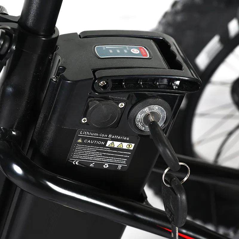 Aluminum Alloy 3 Wheel Fat Tire 48V 500W 750W Front Wheel Hub Motor Electric Tricycle