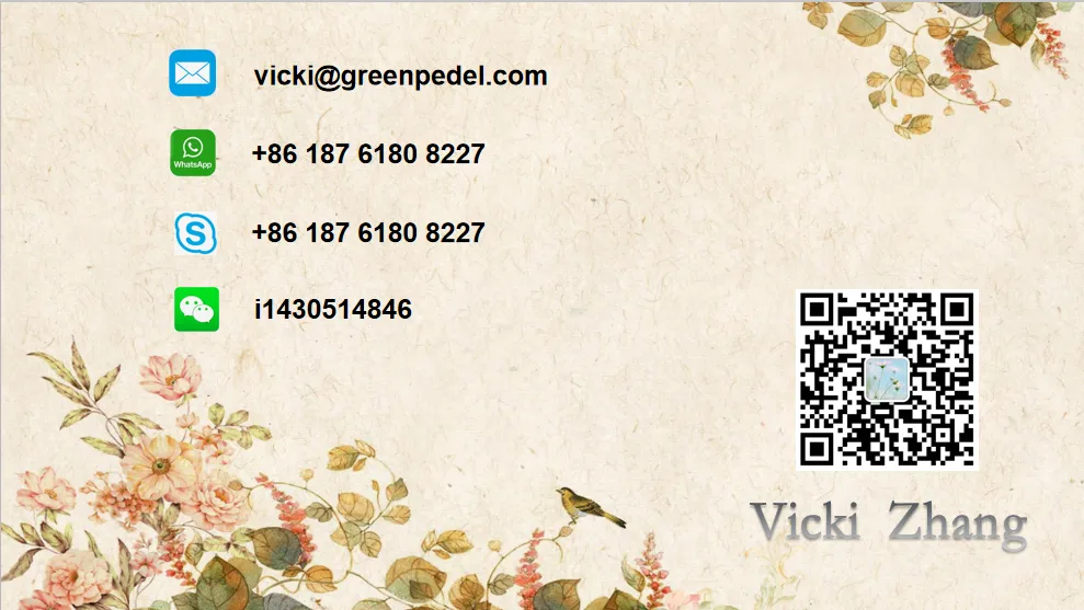 Aluminum Alloy 3 Wheel Fat Tire 48V 500W 750W Front Wheel Hub Motor Electric Tricycle