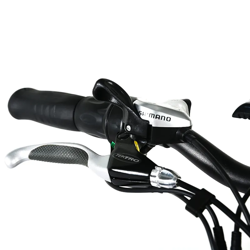 Aluminum Alloy 3 Wheel Fat Tire 48V 500W 750W Front Wheel Hub Motor Electric Tricycle