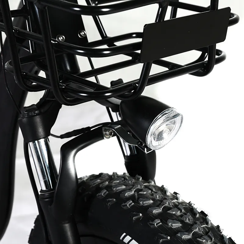 Aluminum Alloy 3 Wheel Fat Tire 48V 500W 750W Front Wheel Hub Motor Electric Tricycle