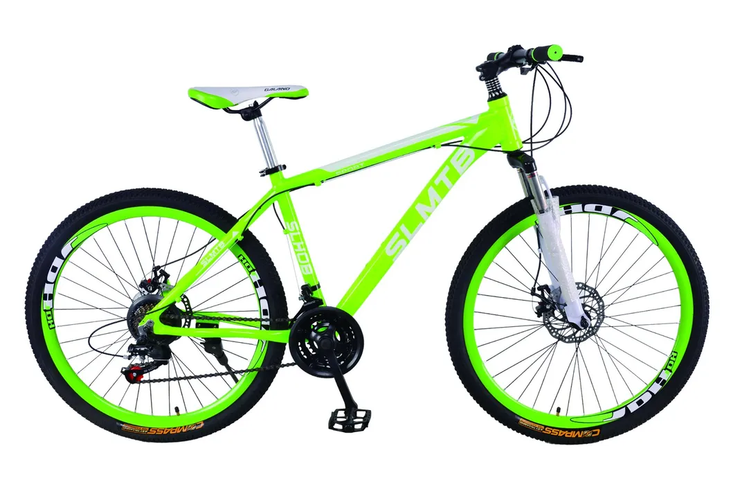 Aluminum Alloy Frame and Handlebar Kmc Chain Mountain Bicycle (033H)