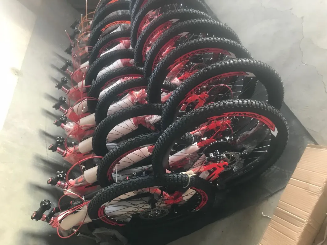 Aluminum Alloy Frame and Handlebar Kmc Chain Mountain Bicycle (033H)