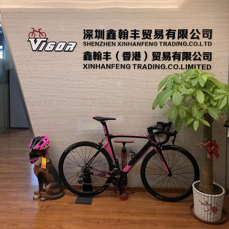 Bicycle Accessories Alloy Bike Luggage Carrier (HCR-123)