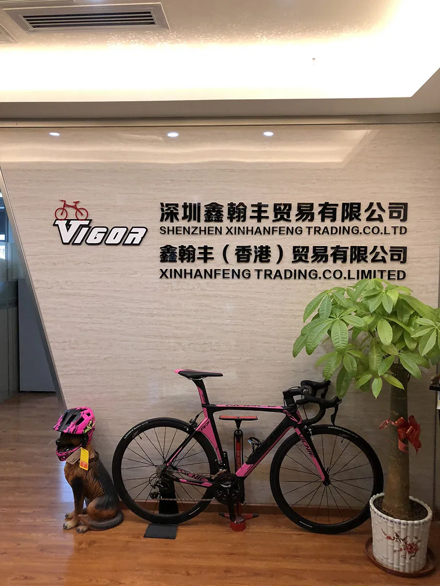 Bicycle Parts USB Rechargeable LED Bike Light (HLT-022)